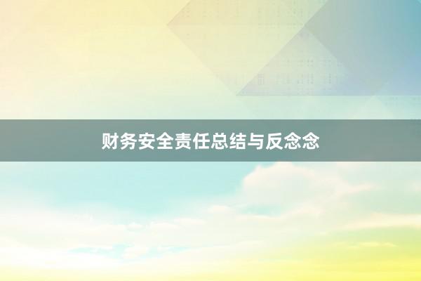财务安全责任总结与反念念