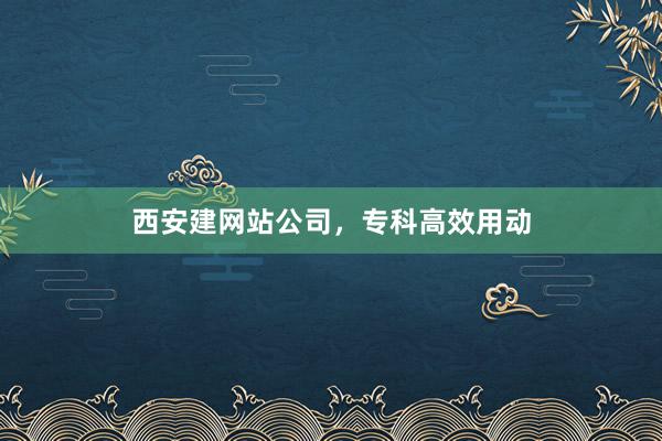 西安建网站公司，专科高效用动