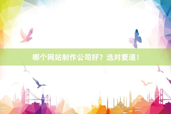 哪个网站制作公司好？选对要道！