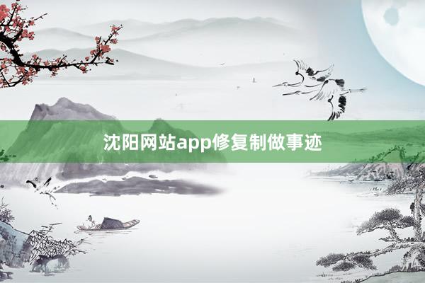 沈阳网站app修复制做事迹