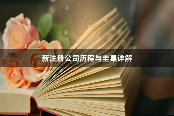 新注册公司历程与圭臬详解