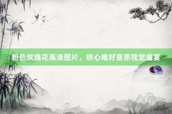粉色玫瑰花高清图片，铁心唯好意思视觉盛宴