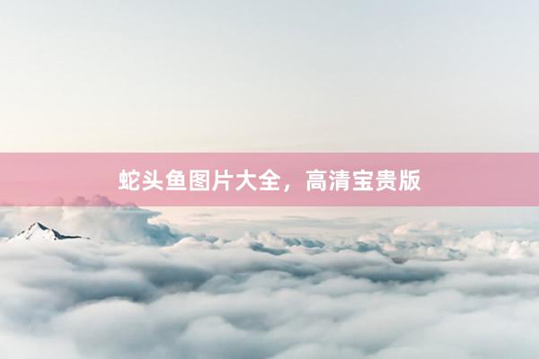 蛇头鱼图片大全，高清宝贵版