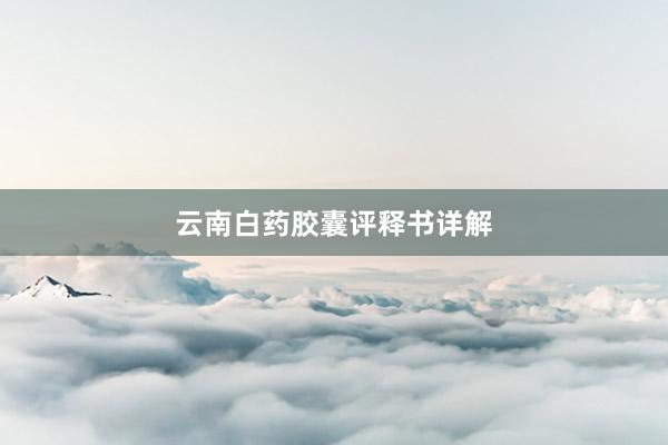云南白药胶囊评释书详解